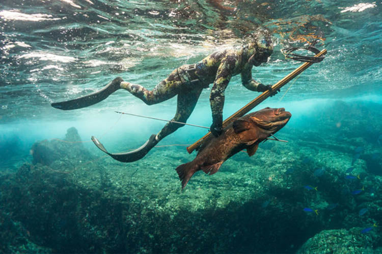 Spear Fishing Adventure