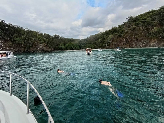 Snorkeling Adventure